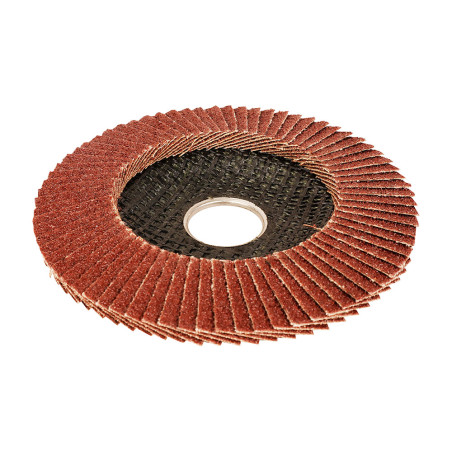 Disco láminas convexo ø115x22,2mm 80 g. workpro