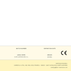 Bombilla incandescente esferica clara 60 w e27 12v