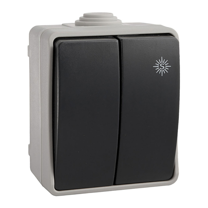 Doble conmutador estanco edm ip44 16a 250v