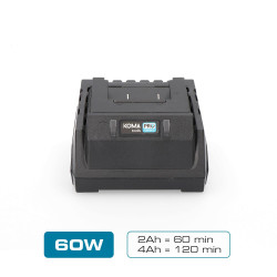 Cargador de bateria 20 v 60 w