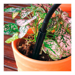 Piquetas gotero espada 2 l/h, 20 uds