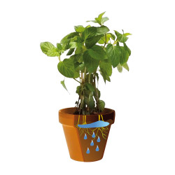 Biogel ecológico 400 ml