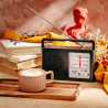 Radio am/fm ad 1909, 15,5 x 21 x 6 cm