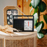 Radio am/fm ad 1909, 15,5 x 21 x 6 cm