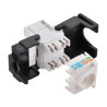 Conector hembra rj45 utp cat.6 keystone 180°