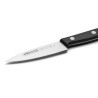 Cuchillo mondador serie universal 100 mm