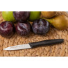 Cuchillo mondador serie nova 85 mm