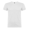 Camiseta beagle blanca t.l