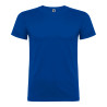 Camiseta beagle royal t.m