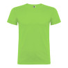 Camiseta beagle verde oasis t.s