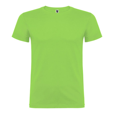 Camiseta beagle verde oasis t.xl