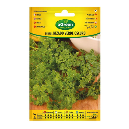 Sobre con semillas de perejil rizado verde oscuro